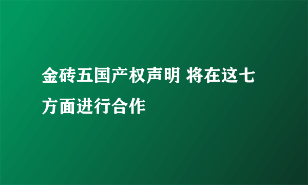 金砖五国产权声明 将在这七方面进行合作