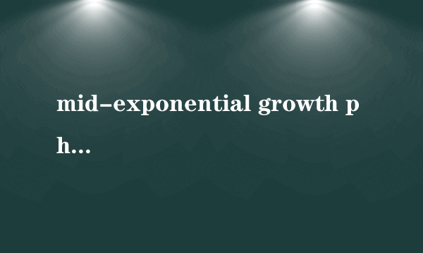 mid-exponential growth phase是什么意思