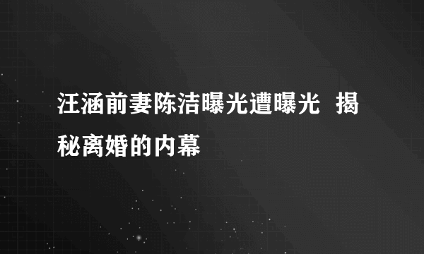 汪涵前妻陈洁曝光遭曝光  揭秘离婚的内幕