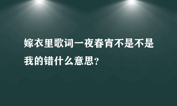 嫁衣里歌词一夜春宵不是不是我的错什么意思？