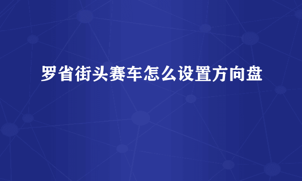 罗省街头赛车怎么设置方向盘