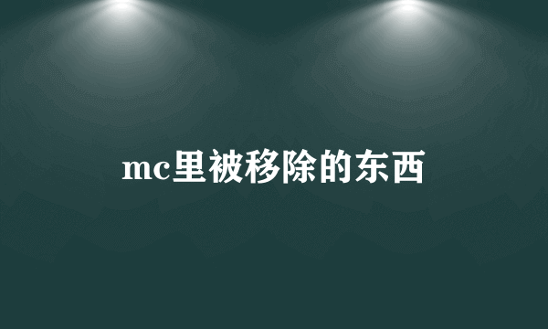 mc里被移除的东西