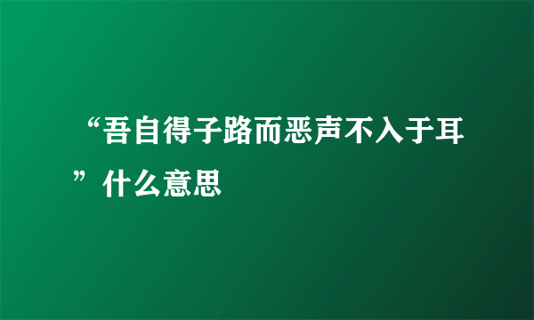 “吾自得子路而恶声不入于耳”什么意思