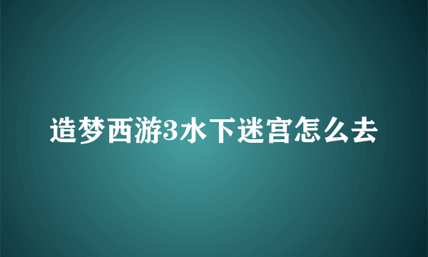 造梦西游3水下迷宫怎么去