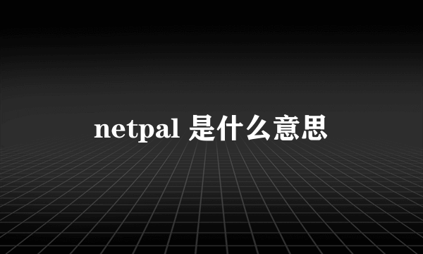 netpal 是什么意思