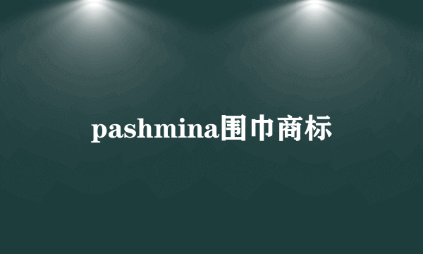 pashmina围巾商标