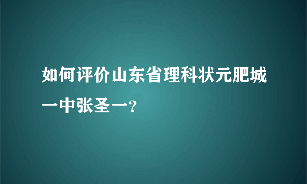 如何评价山东省理科状元肥城一中张圣一？