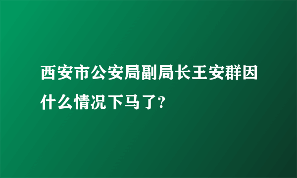 西安市公安局副局长王安群因什么情况下马了?