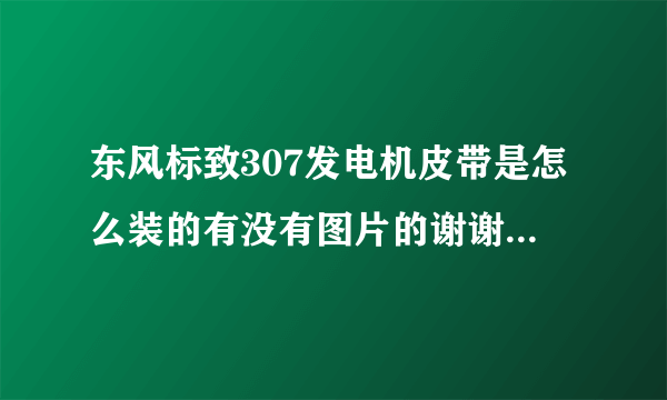 东风标致307发电机皮带是怎么装的有没有图片的谢谢是1.6的发动机