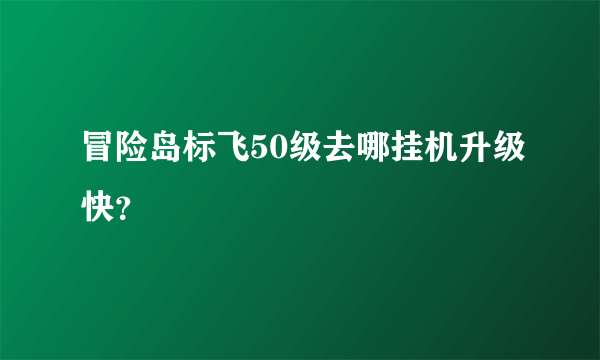 冒险岛标飞50级去哪挂机升级快？