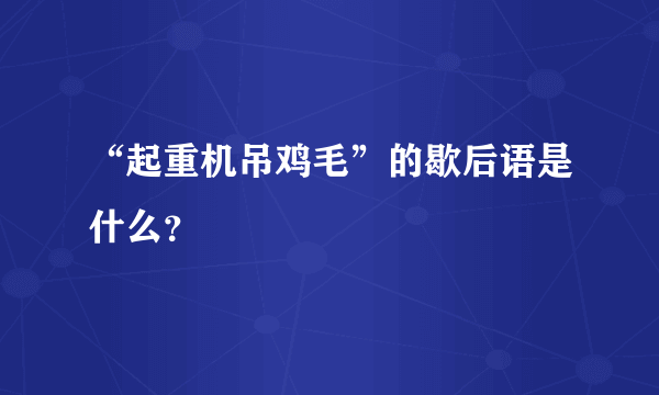 “起重机吊鸡毛”的歇后语是什么？