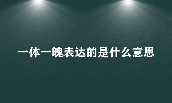 一体一魄表达的是什么意思