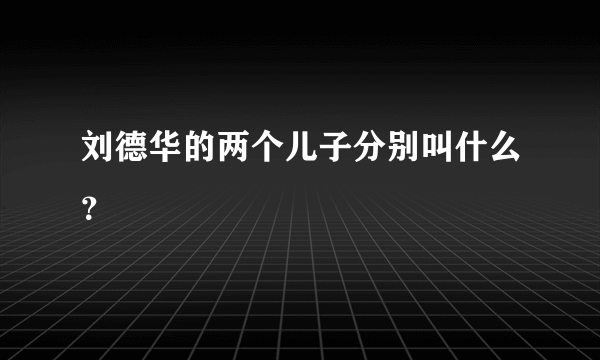 刘德华的两个儿子分别叫什么？