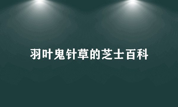 羽叶鬼针草的芝士百科