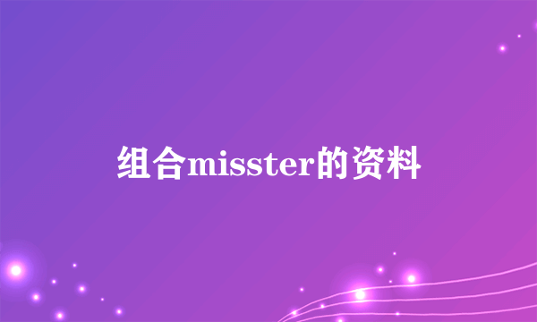 组合misster的资料