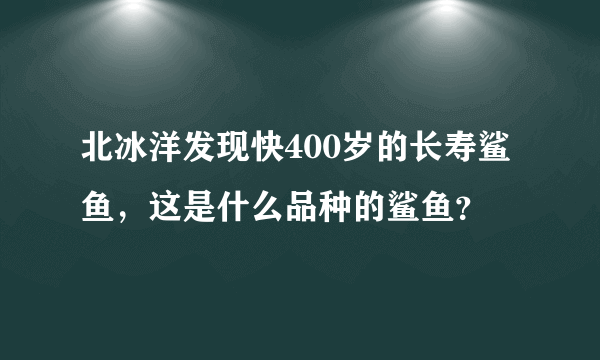 北冰洋发现快400岁的长寿鲨鱼，这是什么品种的鲨鱼？