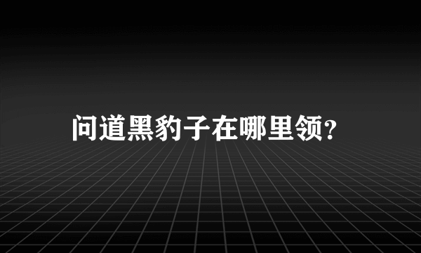 问道黑豹子在哪里领？