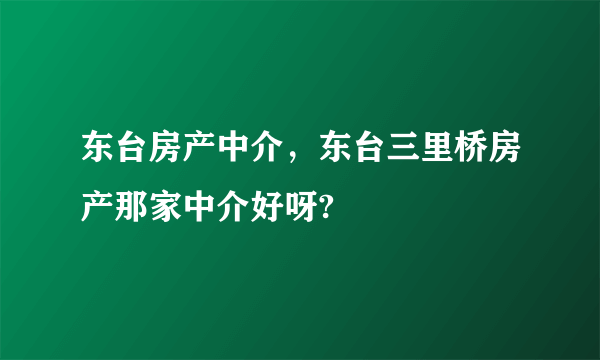 东台房产中介，东台三里桥房产那家中介好呀?