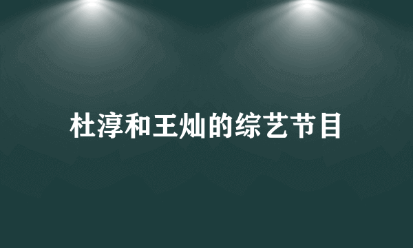 杜淳和王灿的综艺节目