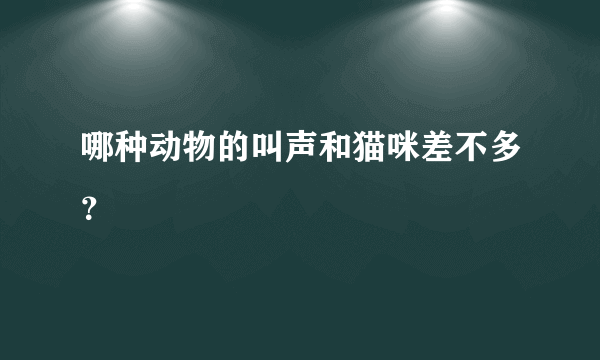 哪种动物的叫声和猫咪差不多？