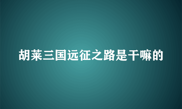 胡莱三国远征之路是干嘛的