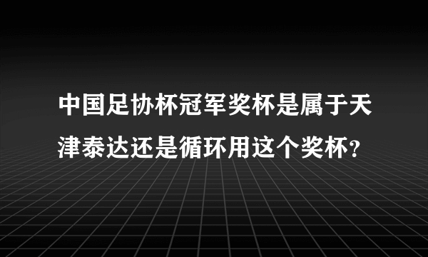 中国足协杯冠军奖杯是属于天津泰达还是循环用这个奖杯？