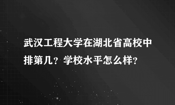 武汉工程大学在湖北省高校中排第几？学校水平怎么样？