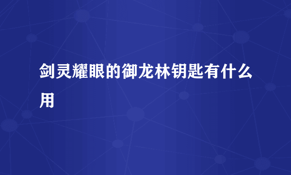 剑灵耀眼的御龙林钥匙有什么用