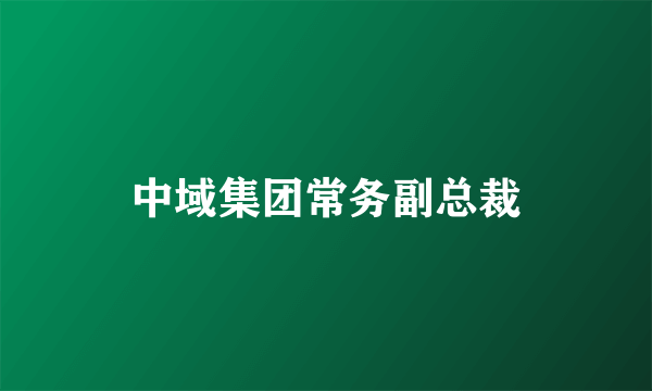 中域集团常务副总裁