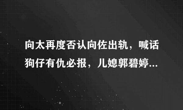 向太再度否认向佐出轨，喊话狗仔有仇必报，儿媳郭碧婷依旧沉默