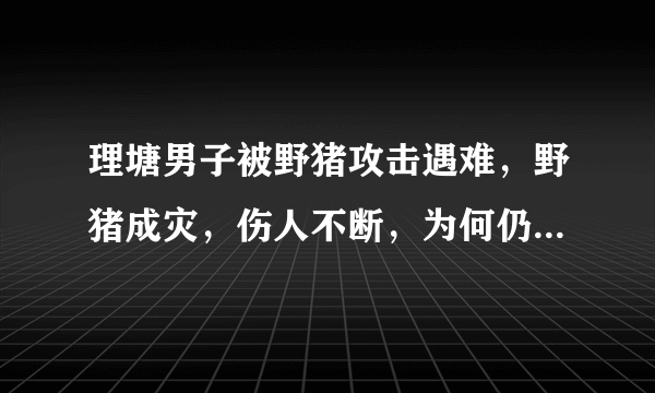 理塘男子被野猪攻击遇难，野猪成灾，伤人不断，为何仍要保护它？