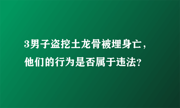 3男子盗挖土龙骨被埋身亡，他们的行为是否属于违法？