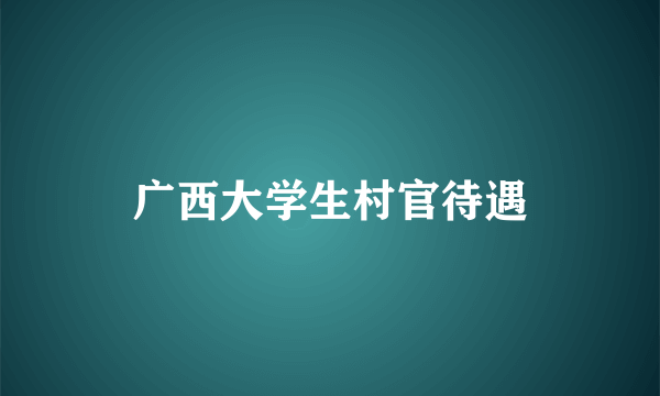 广西大学生村官待遇