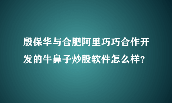 殷保华与合肥阿里巧巧合作开发的牛鼻子炒股软件怎么样？