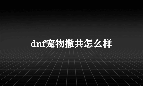 dnf宠物撒共怎么样