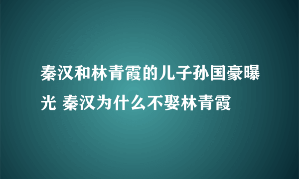 秦汉和林青霞的儿子孙国豪曝光 秦汉为什么不娶林青霞