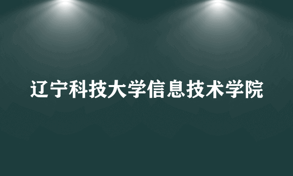 辽宁科技大学信息技术学院