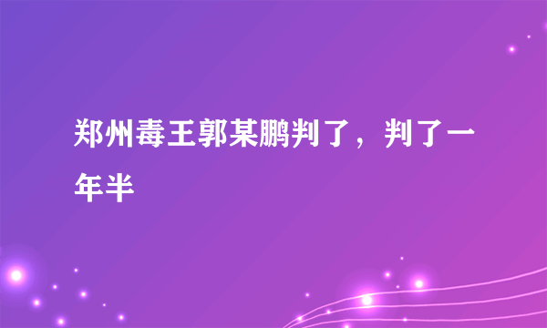 郑州毒王郭某鹏判了，判了一年半