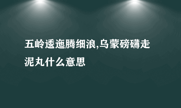 五岭逶迤腾细浪,乌蒙磅礴走泥丸什么意思