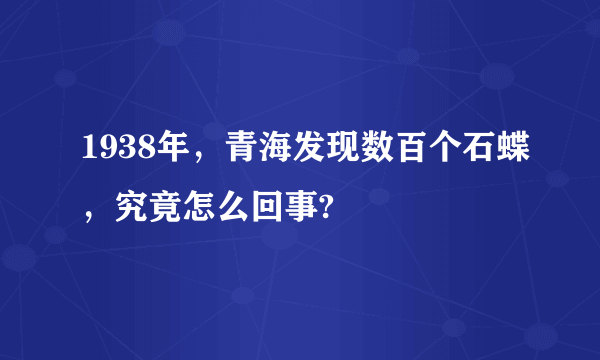 1938年，青海发现数百个石蝶，究竟怎么回事?