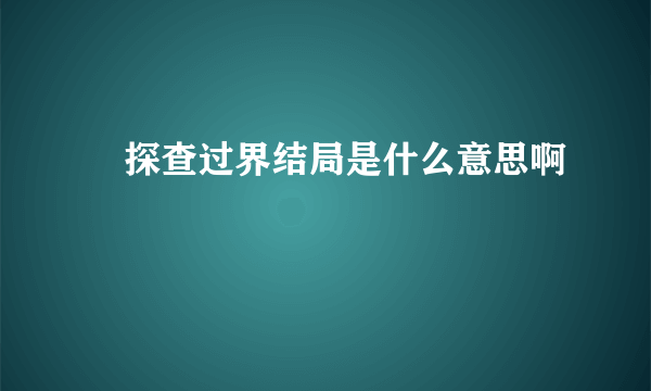 囧探查过界结局是什么意思啊