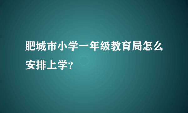 肥城市小学一年级教育局怎么安排上学？