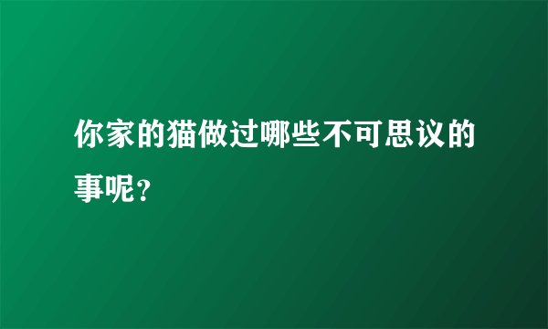 你家的猫做过哪些不可思议的事呢？