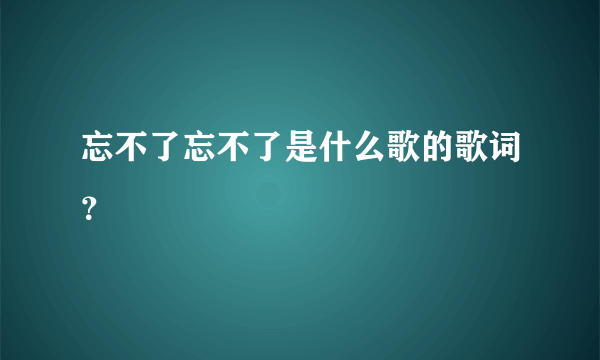 忘不了忘不了是什么歌的歌词？