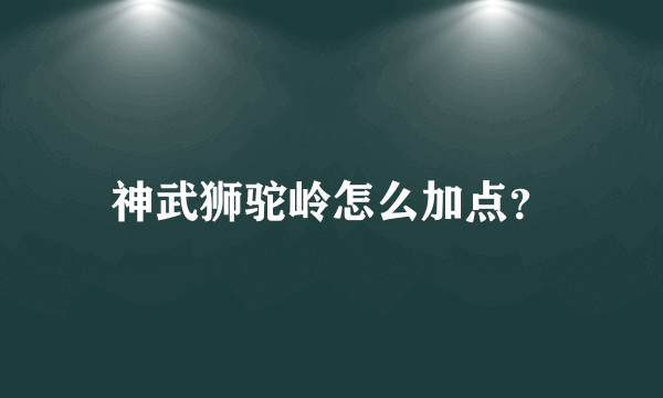 神武狮驼岭怎么加点？