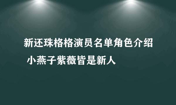 新还珠格格演员名单角色介绍 小燕子紫薇皆是新人