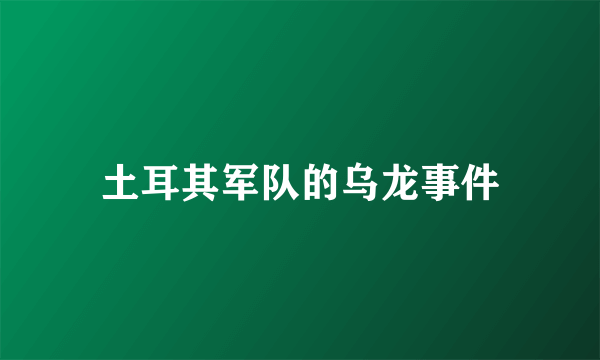 土耳其军队的乌龙事件