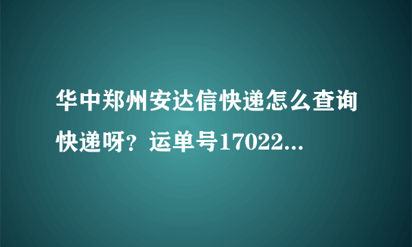 华中郑州安达信快递怎么查询快递呀？运单号17022893186553