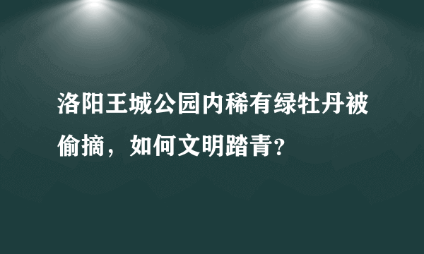 洛阳王城公园内稀有绿牡丹被偷摘，如何文明踏青？