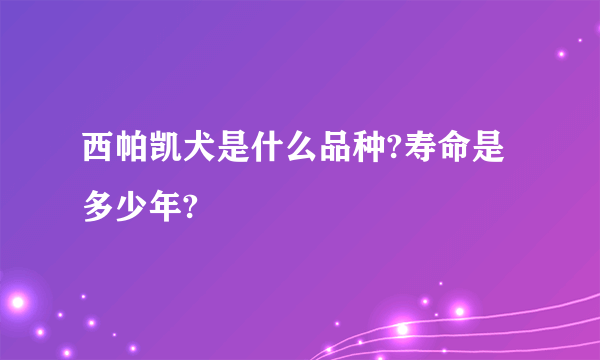 西帕凯犬是什么品种?寿命是多少年?